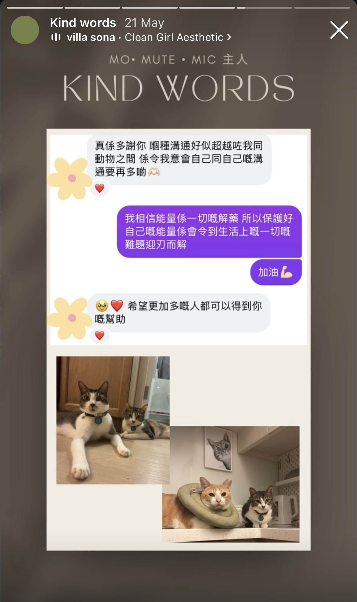 Client message about connection and self-reflection