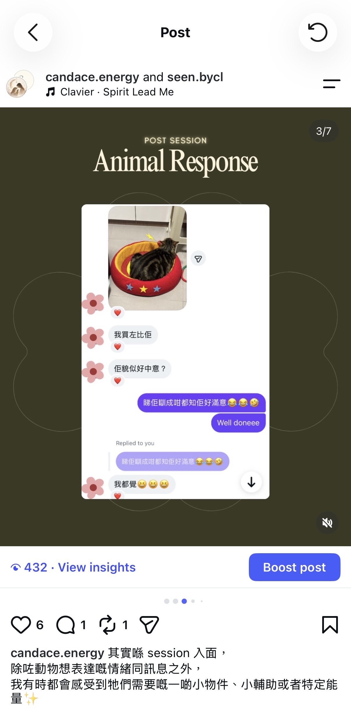 Client photograph of a cat using a red bed