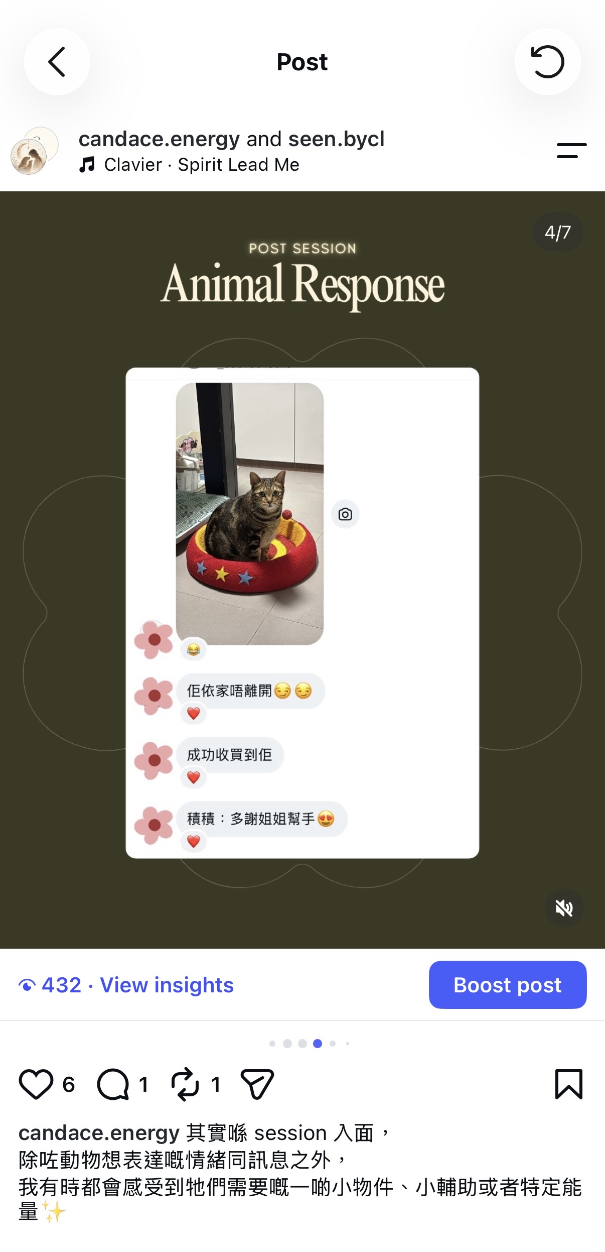 Client follow-up showing their cat in a red bed